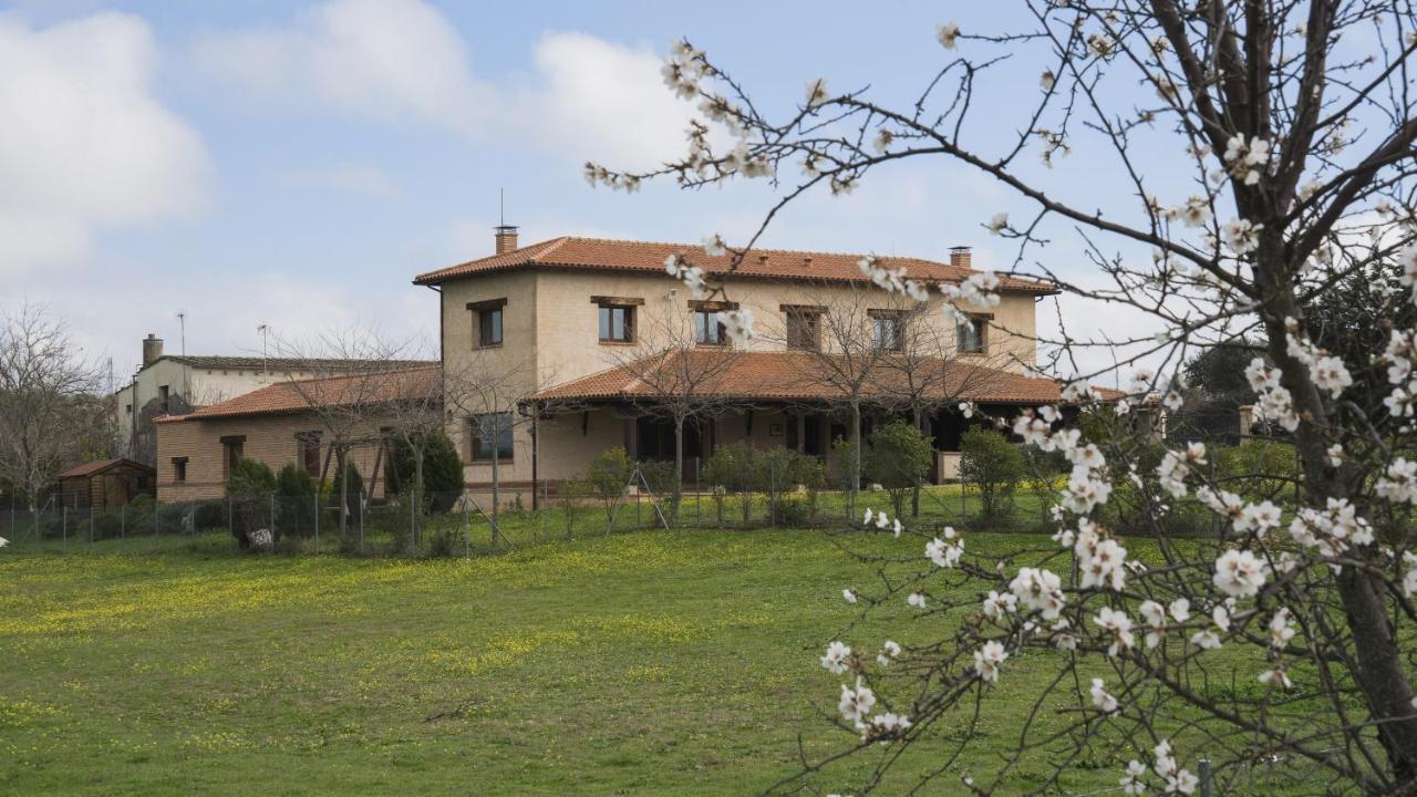 Casa Rural Pilon Del Fraile Oropesa Εξωτερικό φωτογραφία